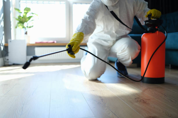 Reliable Odor Removal contractor in Grant, MI by Trauma Clean Pros